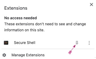 Google Secure Shell Pin Extension.png